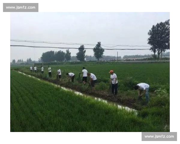稻比赛展现农田创新技术助力现代农业发展与乡村振兴的实践探索