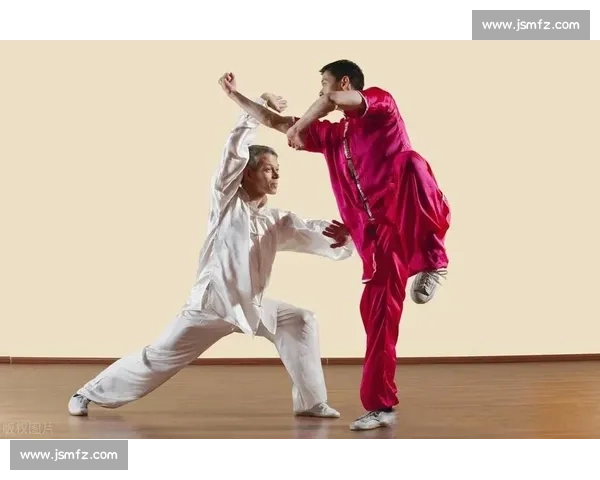 太极推手比赛视频解析高手对抗中的平衡技巧与实战智慧运用提升之