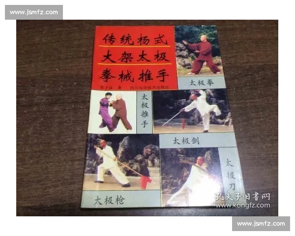 以太极推手比赛视频解读技法对抗节奏与传统文化魅力展现